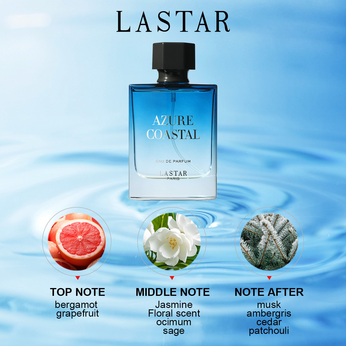 라스타 남성 향수, 2병 총 100ml/3.38fl.o - Men'S Fashion Perfume 리뷰 및 가격